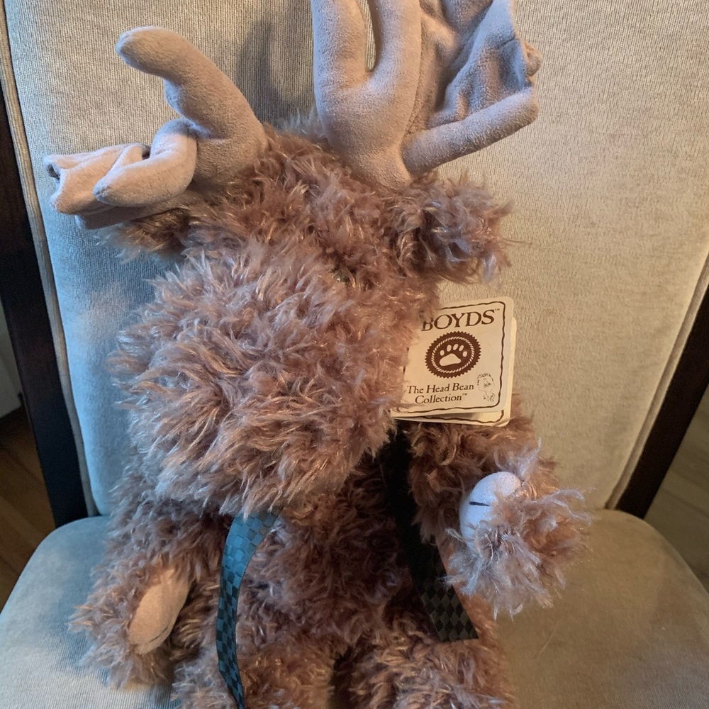 Boyd’s bears. Moose collection